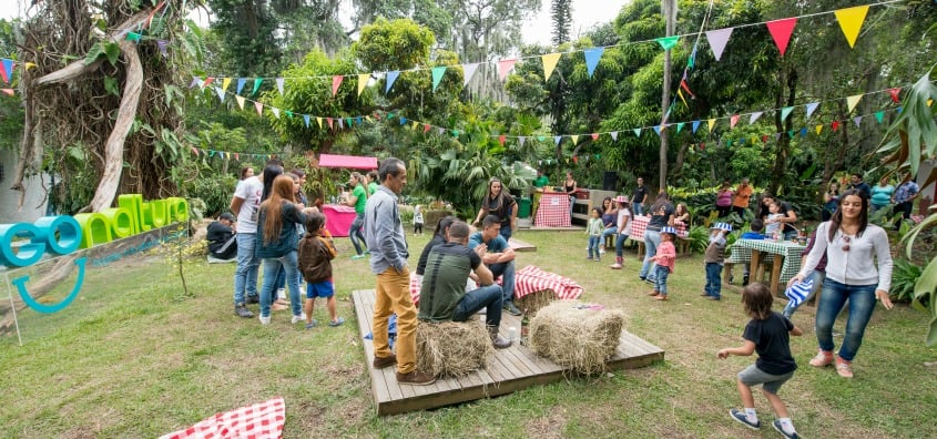 picnic-verde-vivo-imagen.jpg