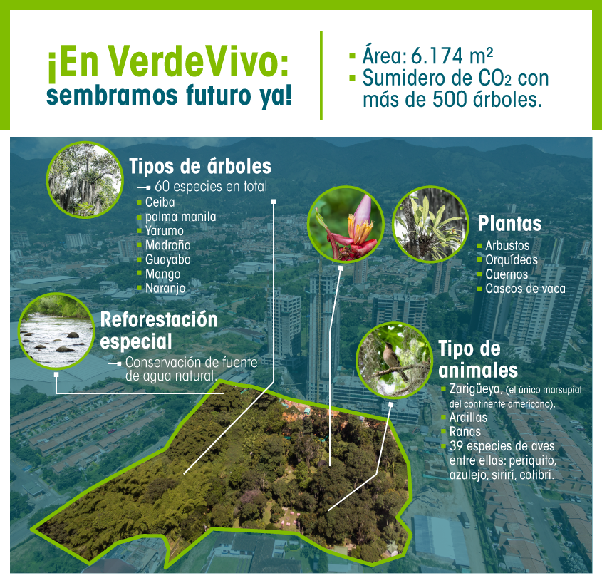 infografia-verde-vivo-2